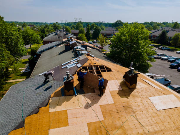 Best Metal Roofing Contractor  in Dewitt, MI
