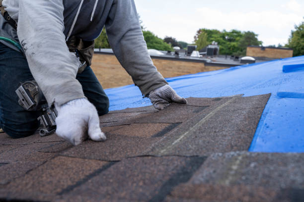 Roof Gutter Cleaning in Dewitt, MI