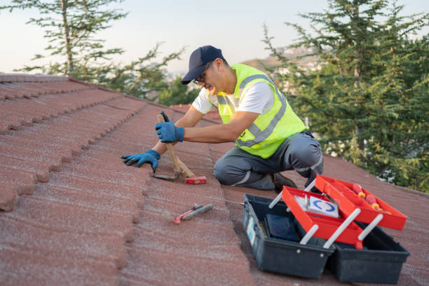 Best Storm Damage Roof Repair  in Dewitt, MI
