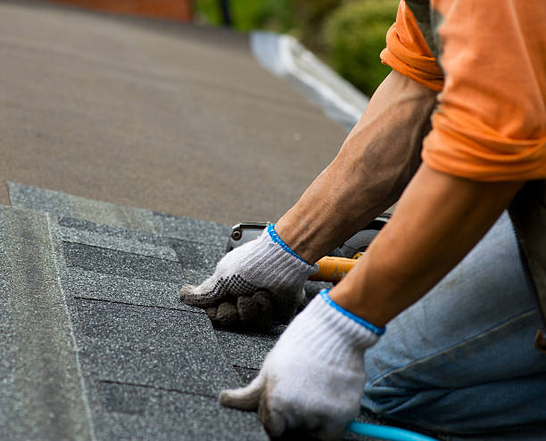 Best Storm Damage Roof Repair  in Dewitt, MI