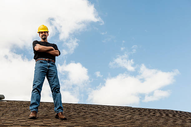 Best Roof Waterproofing Services  in Dewitt, MI