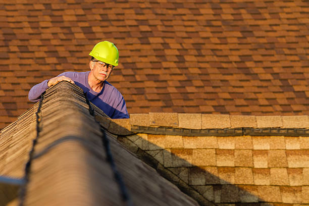 Best Residential Roofing Contractor  in Dewitt, MI