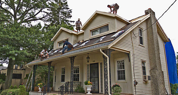 Best Roof Repair Specialists  in Dewitt, MI