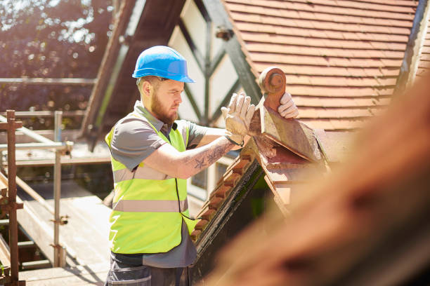 Best Roof Maintenance Services  in Dewitt, MI